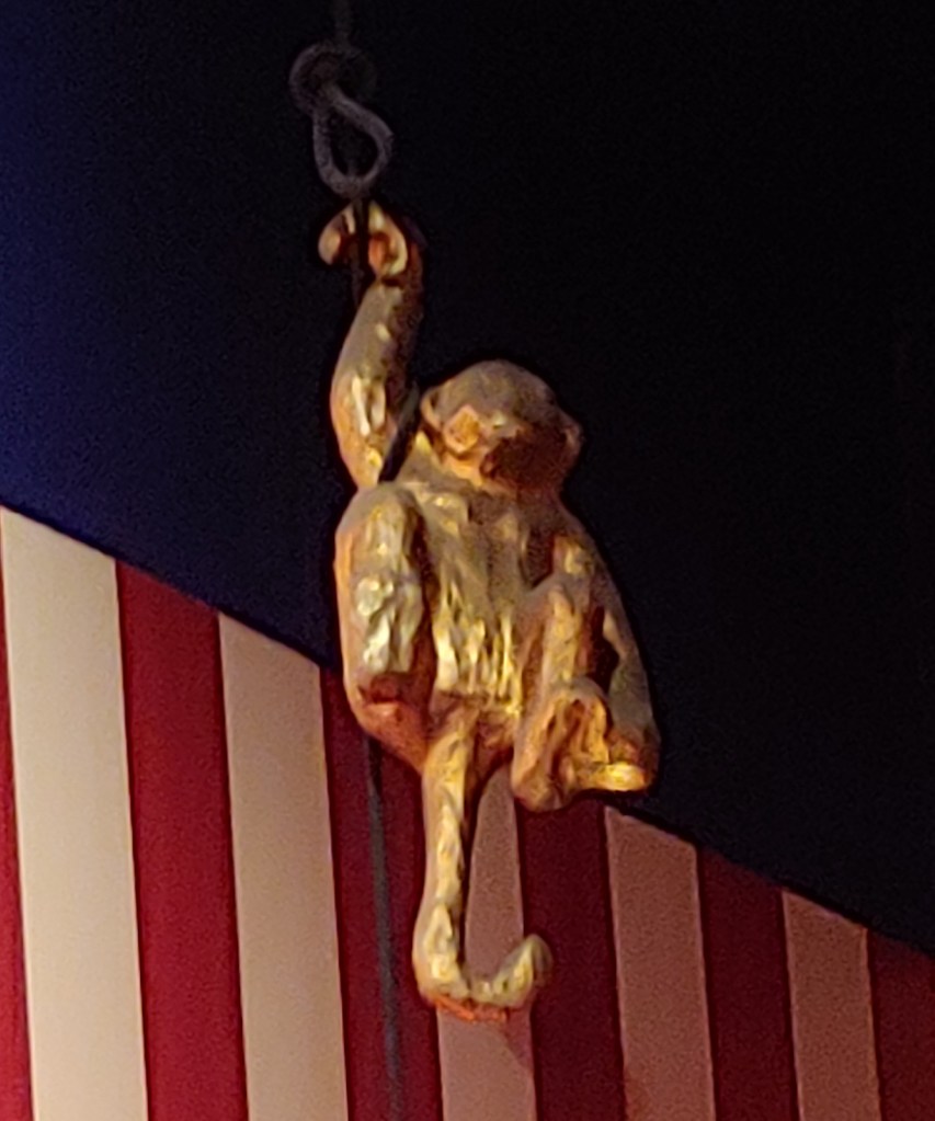 Monkey hanging from ceiling
