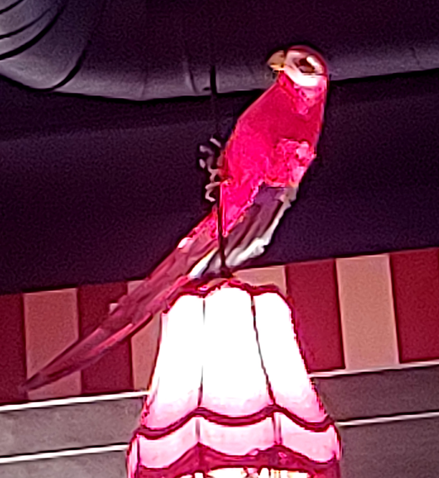 Parrot on top of a lamp shade