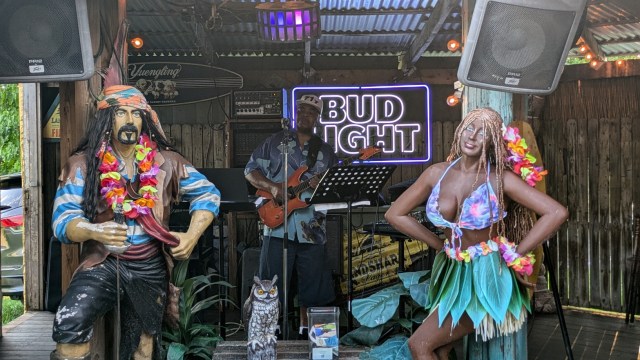 Musician playing a guitar