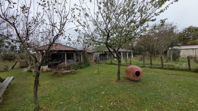 Oda Family Winery, outside